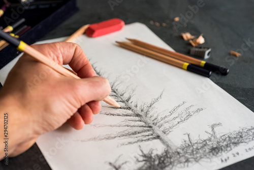 Male Hand Sketching a Spruce tree