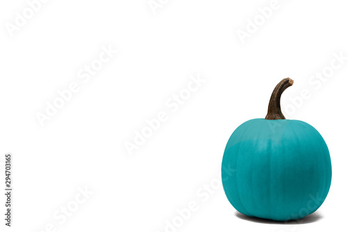 teal pumpkin isolated on white background photo