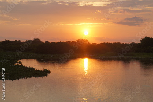 Panoramic beautiful sunset in Pantanal landscape from Brazil. Brazilian nature along Transpantaneira road. Cuiabá, Mato Grosso, Brazil