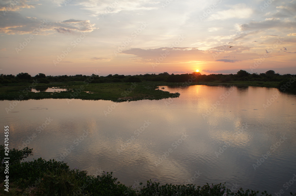 Panoramic beautiful sunset in Pantanal landscape from Brazil. Brazilian nature along Transpantaneira road. Cuiabá, Mato Grosso, Brazil