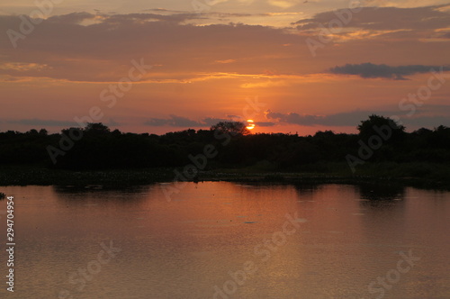 Panoramic beautiful sunset in Pantanal landscape from Brazil. Brazilian nature along Transpantaneira road. Cuiabá, Mato Grosso, Brazil © Luciana