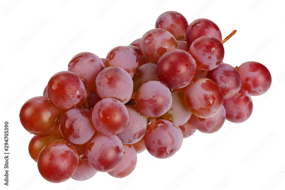 Fototapeta premium wild grapes isolated on a white background. Food