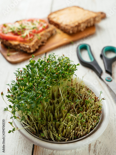 Sprouting dish with watercress photo