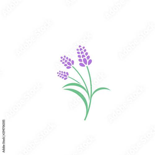 Lavender flower. Logo. Violet flowers on white background