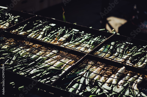 Barbecued spanish oinons photo