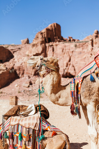 Exploring the ancient city of Petra, Jordan photo