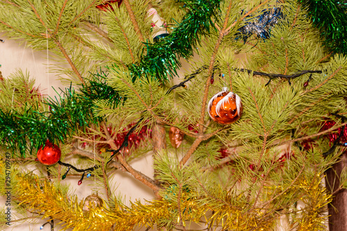 Colorful Christmas balloons on a Christmas tree against the background of shining garlands. Colorful balls surrounded by branches of the Christmas tree. Christmas concept. photo