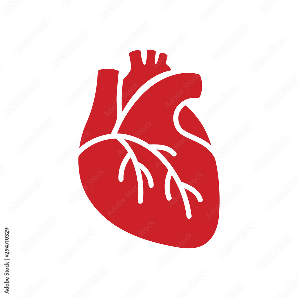 Red icon of human heart in flat style isolated over white background. Vector illustration Red icon of human heart in flat style isolated over white background. Vector illustration