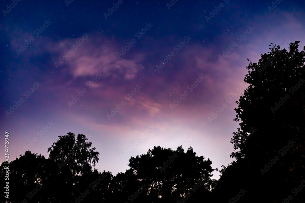 Colour photograph of purple night sky with a tree top silhouette at bottom.