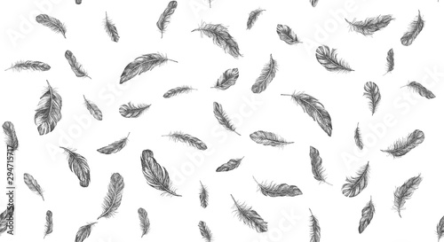 Feathers Pattern hand drawn illustration © oldesign