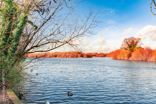 wide expansive view of blue water lake and warm orange trees in Autumn season photo