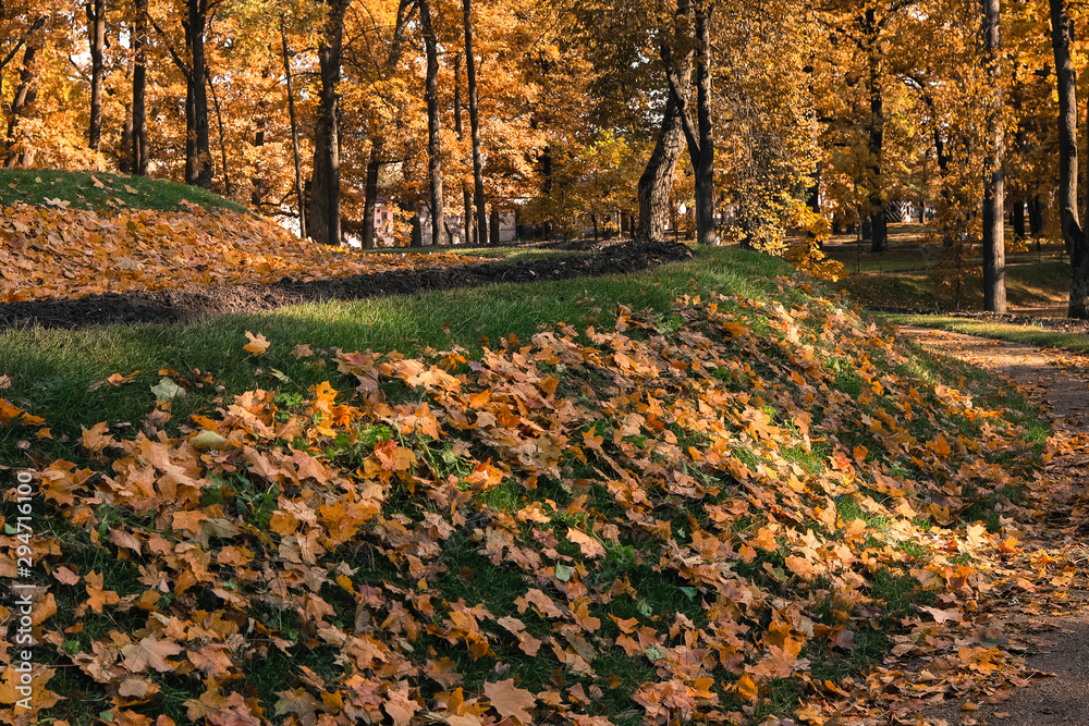 Gatchina, Russia - autumn landscape in the Gatchina park Gatchina, Russia - autumn landscape in the Gatchina park