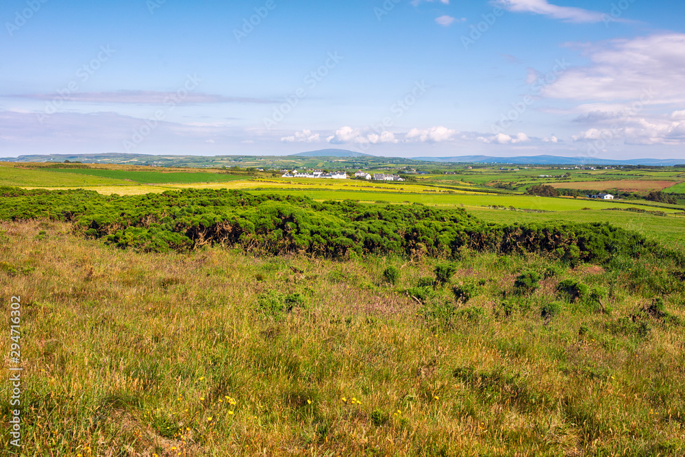 Fototapeta premium wide angle shoot summer countryside morning,Northern Ireland