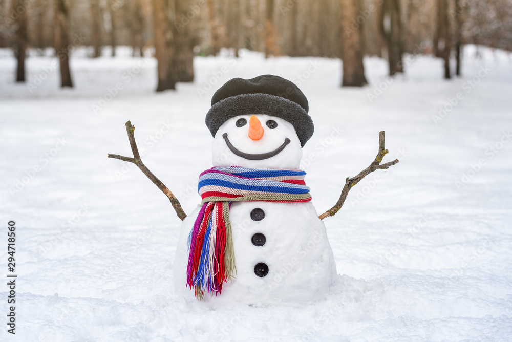 Obraz premium Snowman with arms outstretched from branches