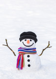 Funny snowman with a colorful scarf