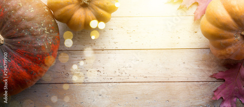 autumn pumpkin harvest season background; thanksgiving holiday banner