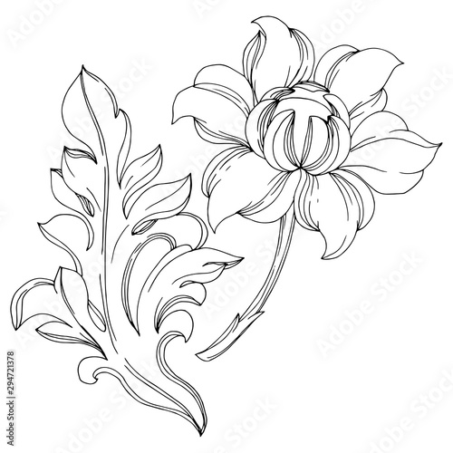 Fototapeta Naklejka Na Ścianę i Meble -  Vector Golden monogram floral ornament. Black and white engraved ink art. Isolated monograms illustration element.