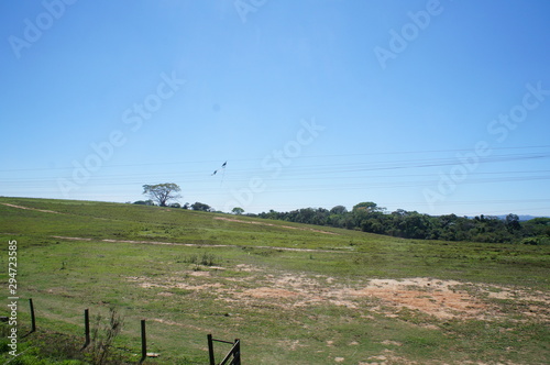 Landscape panorama at agriculture field in jaguariuna  s  o paulo  brazil