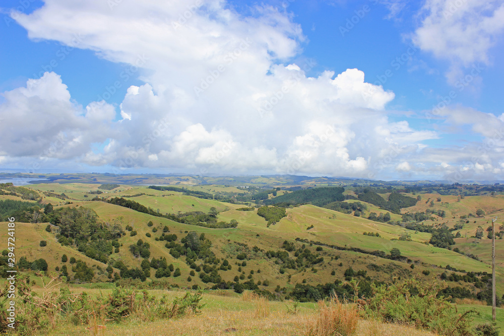 Landscape on the north island of new zealand