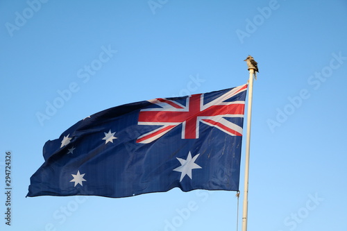 Kookaburra and flag Australia © ClaraNila