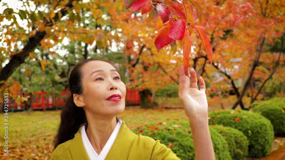 Elegant Japanese woman enjoying a walk in the forest with fall colors in Kyoto Japan Elegant Japanese woman enjoying a walk in the forest with fall colors in Kyoto Japan