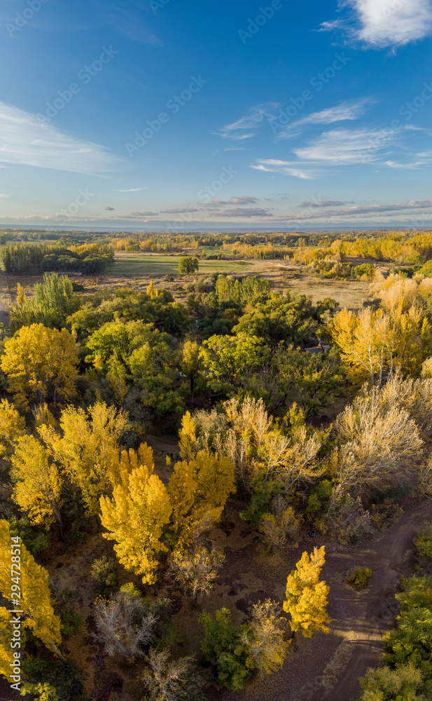 Landscape of a field in autumn. There is a strong yellow tone that make contrast with the rest of the landscape. Patagonia Argentina Landscape of a field in autumn. There is a strong yellow tone that make contrast with the rest of the landscape. Patagonia Argentina