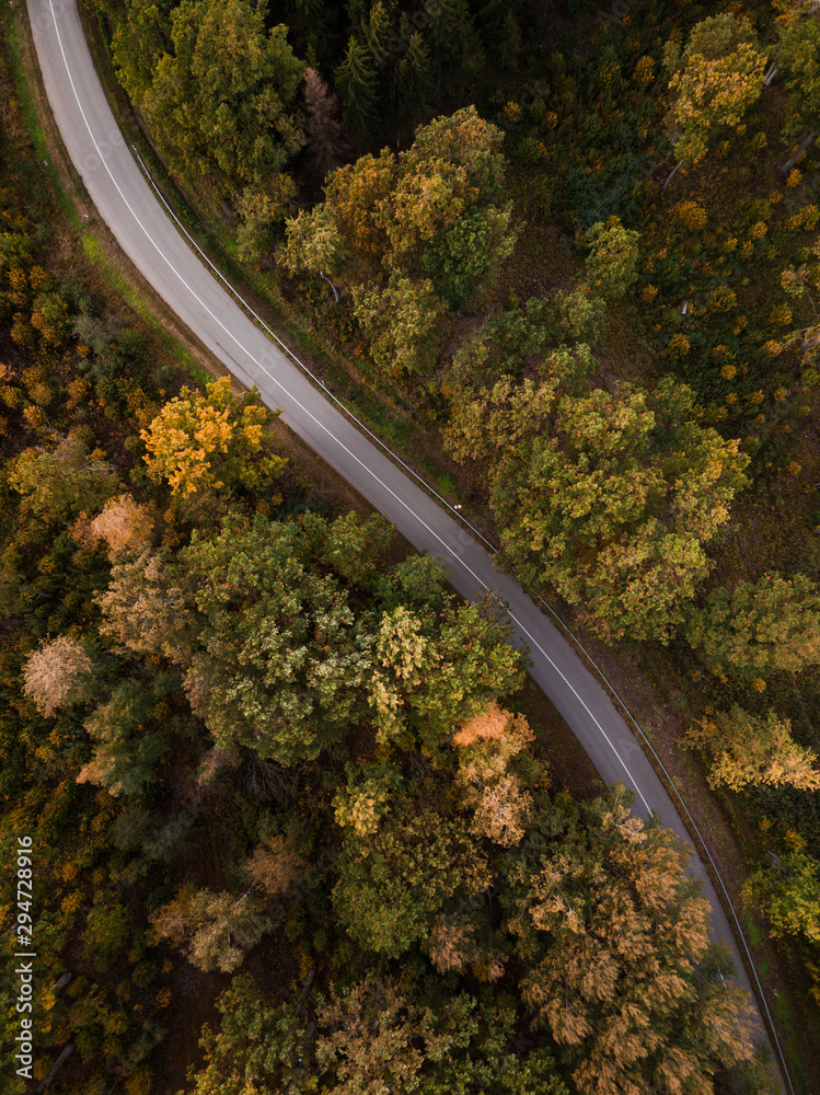 Road in the autumn forest aerial view from drone