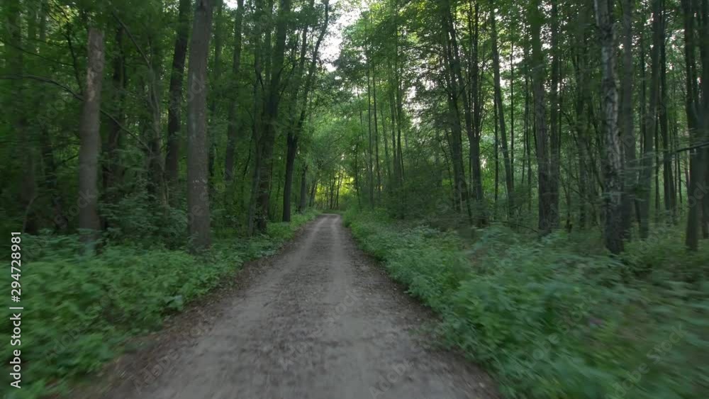 Person riding bike in the forest. Smooth flycam/gimbal shot of sport activity. Person riding bike in the forest. Smooth flycam/gimbal shot of sport activity.