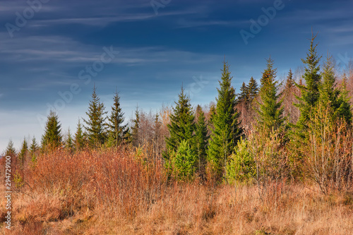 Colorful image of beautiful golden autumn landscape with different color trees, and blue skies.