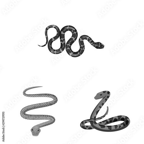 Isolated object of harm and bite symbol. Set of harm and reptile stock vector illustration.