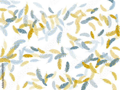 Detailed majestic feather on white design.