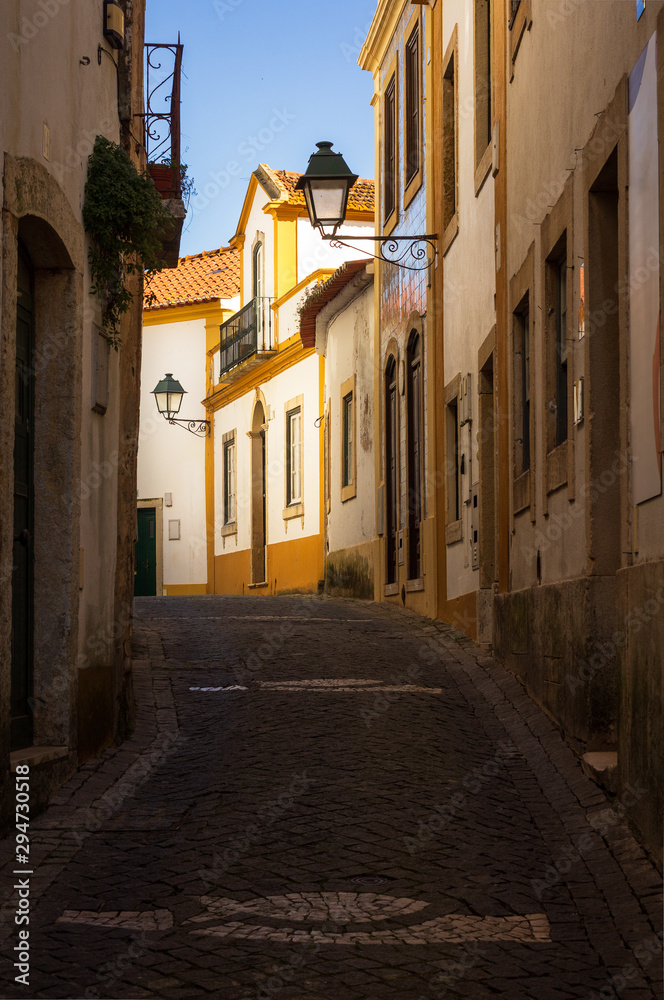 Highlighted white and yellow house on a street in the historic center of ConstÃ¢ncia, in Portugal.