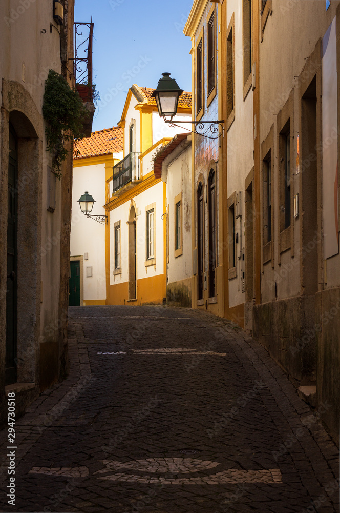 Fototapeta premium Highlighted white and yellow house on a street in the historic center of ConstÃ¢ncia, in Portugal.