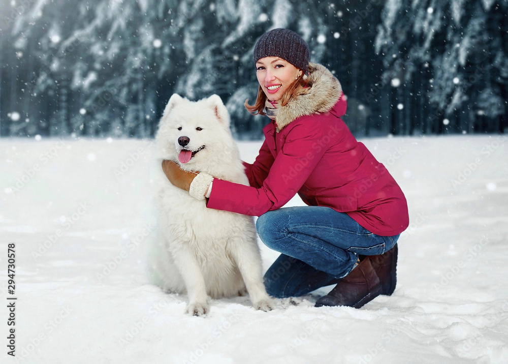 Winter portrait cheerful smiling owner woman hugging white Samoyed dog while sitting on snow walking in snowy park