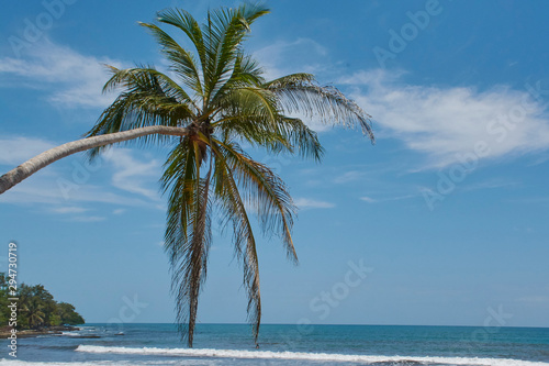 Costa Rican Caribbean Palm Tree Paradise Beach © Edel