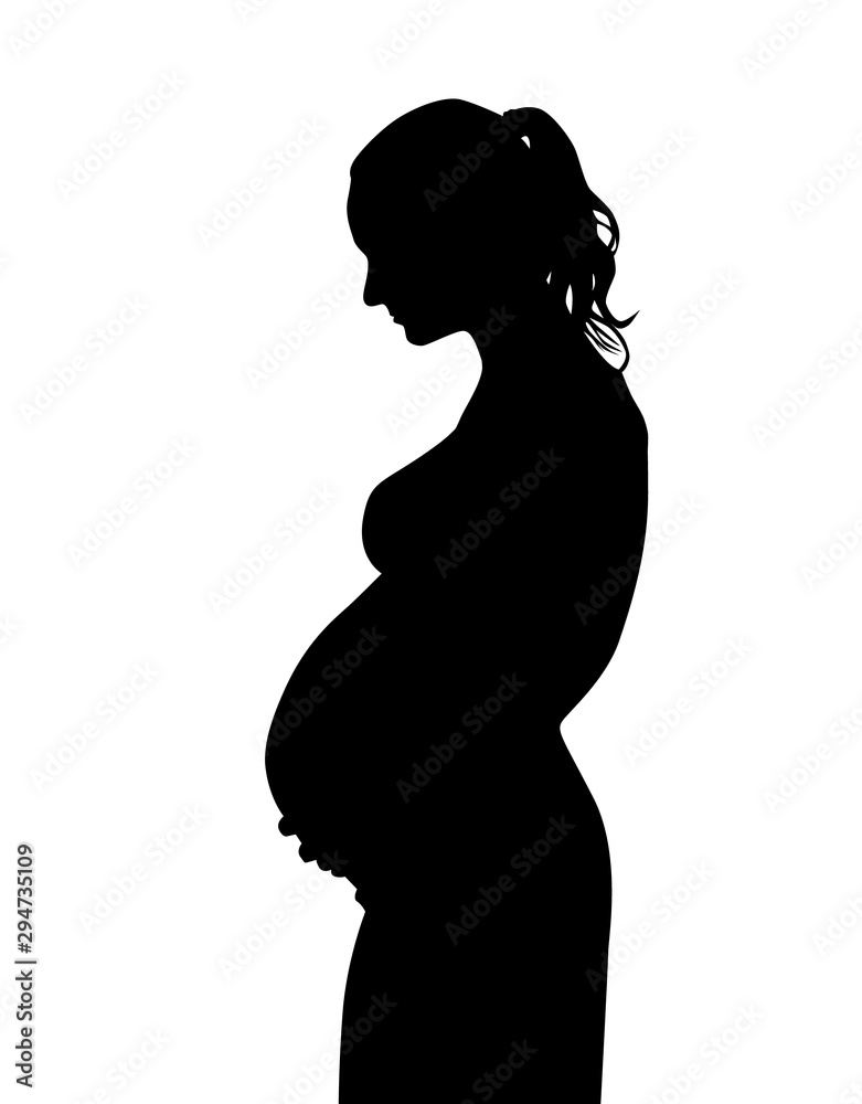 The silhouette of a pregnant woman. Vector illustration The silhouette of a pregnant woman. Vector illustration