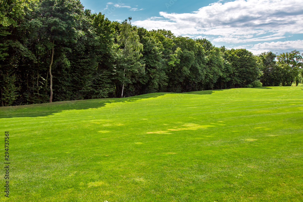 environment landscape green meadow space with a lawn lit by sunlight in the background a forest with tall trees and a blue sky with clouds.