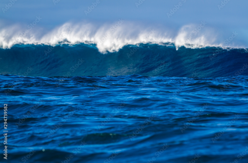 Big Ocean wave in Hawaii