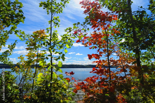 automne au Quebec