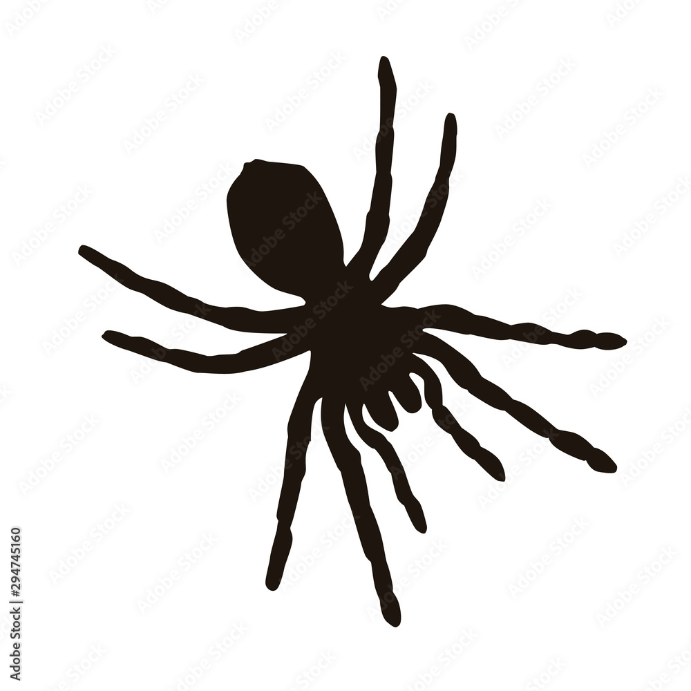 Spider Silhouette Spider Silhouette
