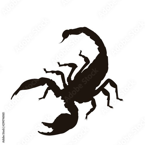 Scorpion Silhouette