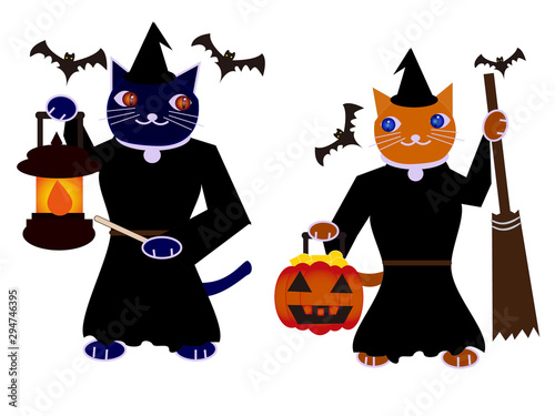 猫たちのハロウィン３