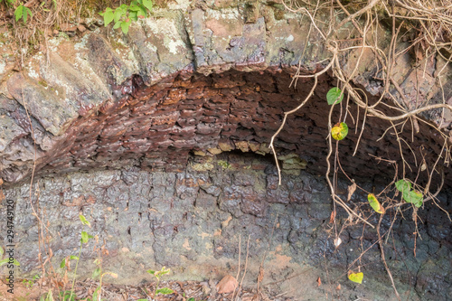 Close up view inside one of the many coke ovens used in the late 1800's to burn coal to make bricks. Grundy Lakes Park in Tracy City, Tennessee of the South Cumberland State Park system. photo