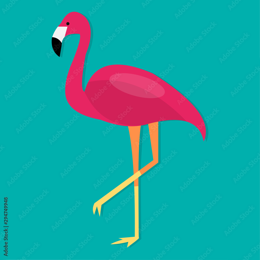 Obraz premium pink flamingo bird isolated vector illustration