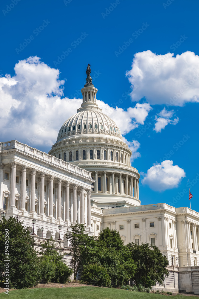 Naklejka premium US Capitol Building in Washington, DC