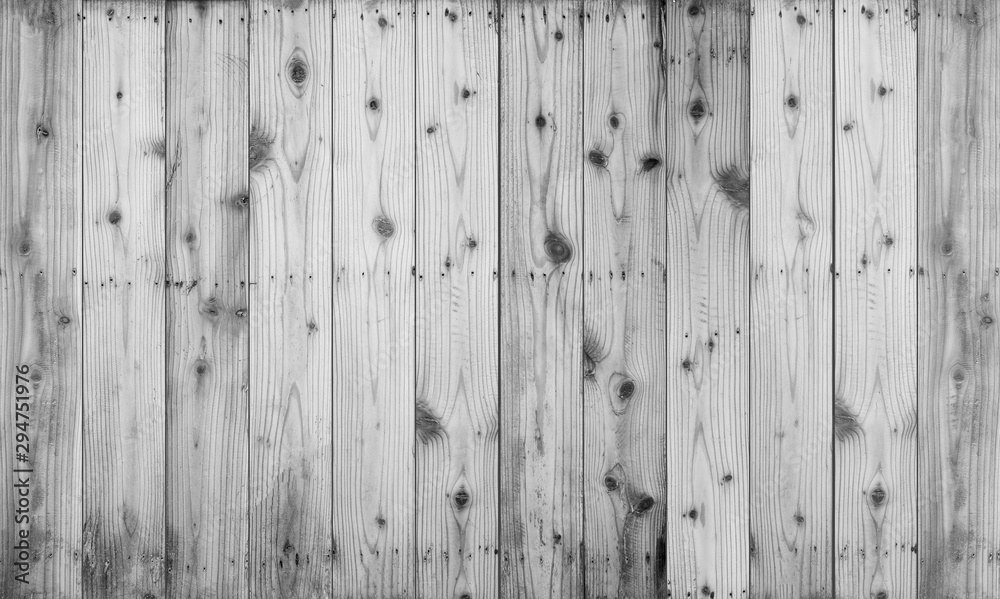 White Wood texture background. White Wood texture background.