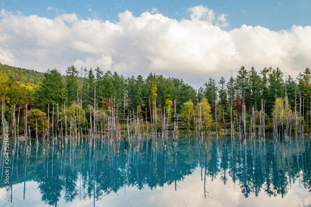 Blue Pond, Biei Hokkaido Japan