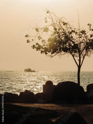 silhouette of a lone tree at sunset with  ocean and a little boat far away