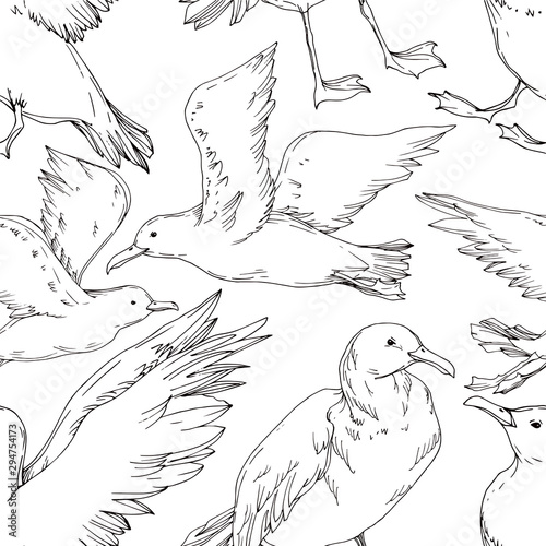 Vector Sky bird seagull isolated. Black and white engraved ink art. Seamless background pattern.