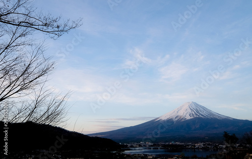Mountain fuji clear top view in early morning against to blue clouds sky background   mt.fuji clear viewing with branches trees in front  Mountain Fuji in the Autumn  in Japan